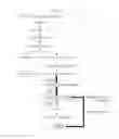 Fig. 02 - Microorganism producing o-phosphoserine and method of producing L-cysteine or derivatives thereof from O-phosphoserine using the same