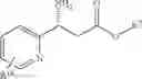 Fig. 100 - Transaminase reactions