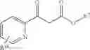 Fig. 101 - Transaminase reactions