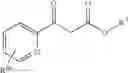 Fig. 58 - Transaminase reactions
