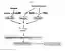 Fig. 02 - Method of producing fatty acid alkyl ester using microorganisms having ability to produce oil