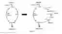 Fig. 06 - ENGINEERED MICROOGRANISMS CAPABLE OF PRODUCING TARGET COMPOUNDS UNDER ANAEROBIC CONDITIONS