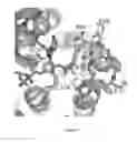 Fig. 22 - ENGINEERED MICROOGRANISMS CAPABLE OF PRODUCING TARGET COMPOUNDS UNDER ANAEROBIC CONDITIONS
