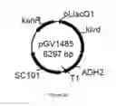 Fig. 27 - ENGINEERED MICROOGRANISMS CAPABLE OF PRODUCING TARGET COMPOUNDS UNDER ANAEROBIC CONDITIONS