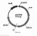 Fig. 35 - ENGINEERED MICROOGRANISMS CAPABLE OF PRODUCING TARGET COMPOUNDS UNDER ANAEROBIC CONDITIONS
