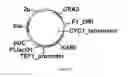 Fig. 48 - ENGINEERED MICROOGRANISMS CAPABLE OF PRODUCING TARGET COMPOUNDS UNDER ANAEROBIC CONDITIONS