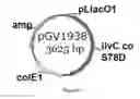 Fig. 52 - ENGINEERED MICROOGRANISMS CAPABLE OF PRODUCING TARGET COMPOUNDS UNDER ANAEROBIC CONDITIONS