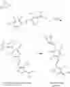 Fig. 41 - Fluorogenic compounds converted to fluorophores by photochemical or chemical means and their use in biological systems