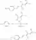 Fig. 47 - Fluorogenic compounds converted to fluorophores by photochemical or chemical means and their use in biological systems