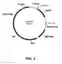 Fig. 03 - Methods for Enhancing the Degradation or Conversion of Cellulosic Material