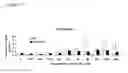 Fig. 02 - Differentiation of pluripotent stem cells