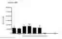 Fig. 46 - Differentiation of pluripotent stem cells