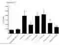 Fig. 53 - Differentiation of pluripotent stem cells