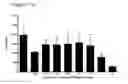 Fig. 64 - Differentiation of pluripotent stem cells