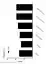 Fig. 82 - Differentiation of Pluripotent Stem Cells