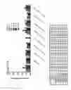 Fig. 96 - Differentiation of Pluripotent Stem Cells