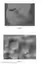 Fig. 05 - Macroporous Microcarrier Specific to Liver Cell, Preparation Method and Use Thereof