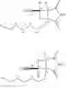Fig. 149 - Reversible covalent linkage of functional molecules