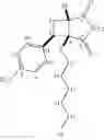 Fig. 154 - Reversible covalent linkage of functional molecules
