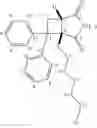 Fig. 166 - Reversible covalent linkage of functional molecules