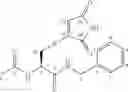 Fig. 72 - Reversible covalent linkage of functional molecules