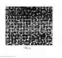 Fig. 10 - SYSTEMS AND METHODS FOR DETERMINING PROCESS CONDITIONS IN CONFINED VOLUMES