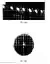 Fig. 11 - SYSTEMS AND METHODS FOR DETERMINING PROCESS CONDITIONS IN CONFINED VOLUMES