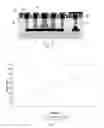 Fig. 04 - Heterojunction bipolar transistors and methods of manufacture