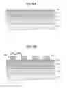 Fig. 27 - SEMICONDUCTOR DEVICE MANUFACTURING METHOD