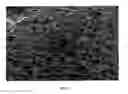 Fig. 03 - Method for producing and structuring a zinc oxide layer and zinc oxide layer