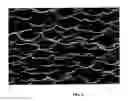 Fig. 06 - Method for producing and structuring a zinc oxide layer and zinc oxide layer