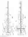Fig. 03 - Fish scaling assembly