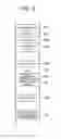 Fig. 06 - Automatic movement of disconnected character in network game
