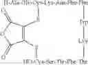 Fig. 131 - Functionalisation of Solid Substrates