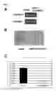Fig. 06 - GENES AND POLYPEPTIDES RELATING TO HUMAN COLON CANCERS