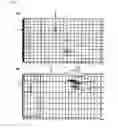 Fig. 04 - LIPOTEICHOIC ACID-DERIVED GLYCOLIPIDS, AND COMPOSITIONS COMPRISING SAME