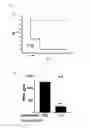Fig. 22 - LIPOTEICHOIC ACID-DERIVED GLYCOLIPIDS, AND COMPOSITIONS COMPRISING SAME