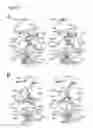 Fig. 06 - SELECTIVE OXIDATION OF C-H BONDS OF MODIFIED SUBSTRATES BY P450 MONOOXYGENASE