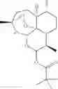 Fig. 32 - Compositions Comprising Thalidomide and Artemisinin for the Treatment of Cancer