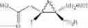 Fig. 16 - FLUORINATED CYCLOPROPANE ANALOGS OF GLUTAMIC ACID