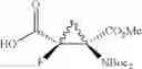 Fig. 47 - FLUORINATED CYCLOPROPANE ANALOGS OF GLUTAMIC ACID