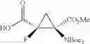 Fig. 49 - FLUORINATED CYCLOPROPANE ANALOGS OF GLUTAMIC ACID