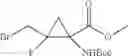 Fig. 75 - FLUORINATED CYCLOPROPANE ANALOGS OF GLUTAMIC ACID