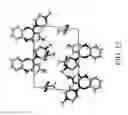 Fig. 17 - Pharmaceutical propylene glycol solvate compositions