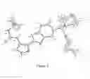 Fig. 05 - Pyrazole compounds that modulate the activity of CDK, GSK and aurora kinases