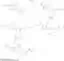 Fig. 07 - Tetrahydroquinoline derivatives