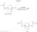 Fig. 07 - Bicyclo[3.2.1]octyl amide derivatives and uses of same