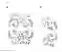Fig. 08 - Targeting NAD biosynthesis in bacterial pathogens