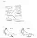 Fig. 12 - Targeting NAD biosynthesis in bacterial pathogens