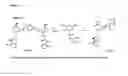 Fig. 17 - Targeting NAD biosynthesis in bacterial pathogens